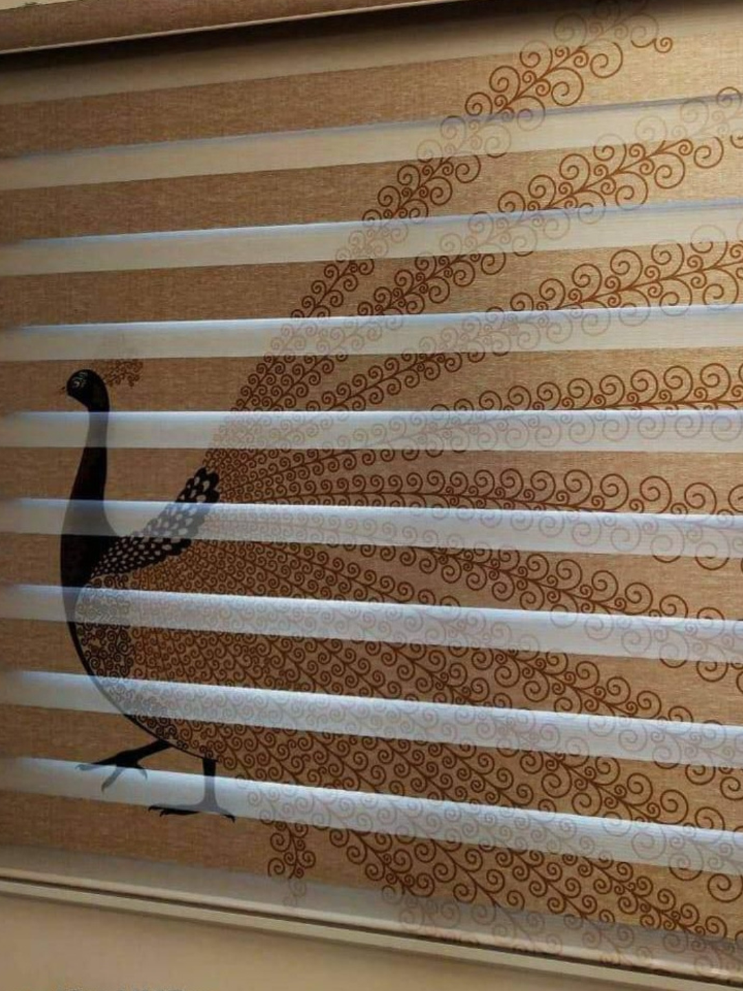 Designer Blinds