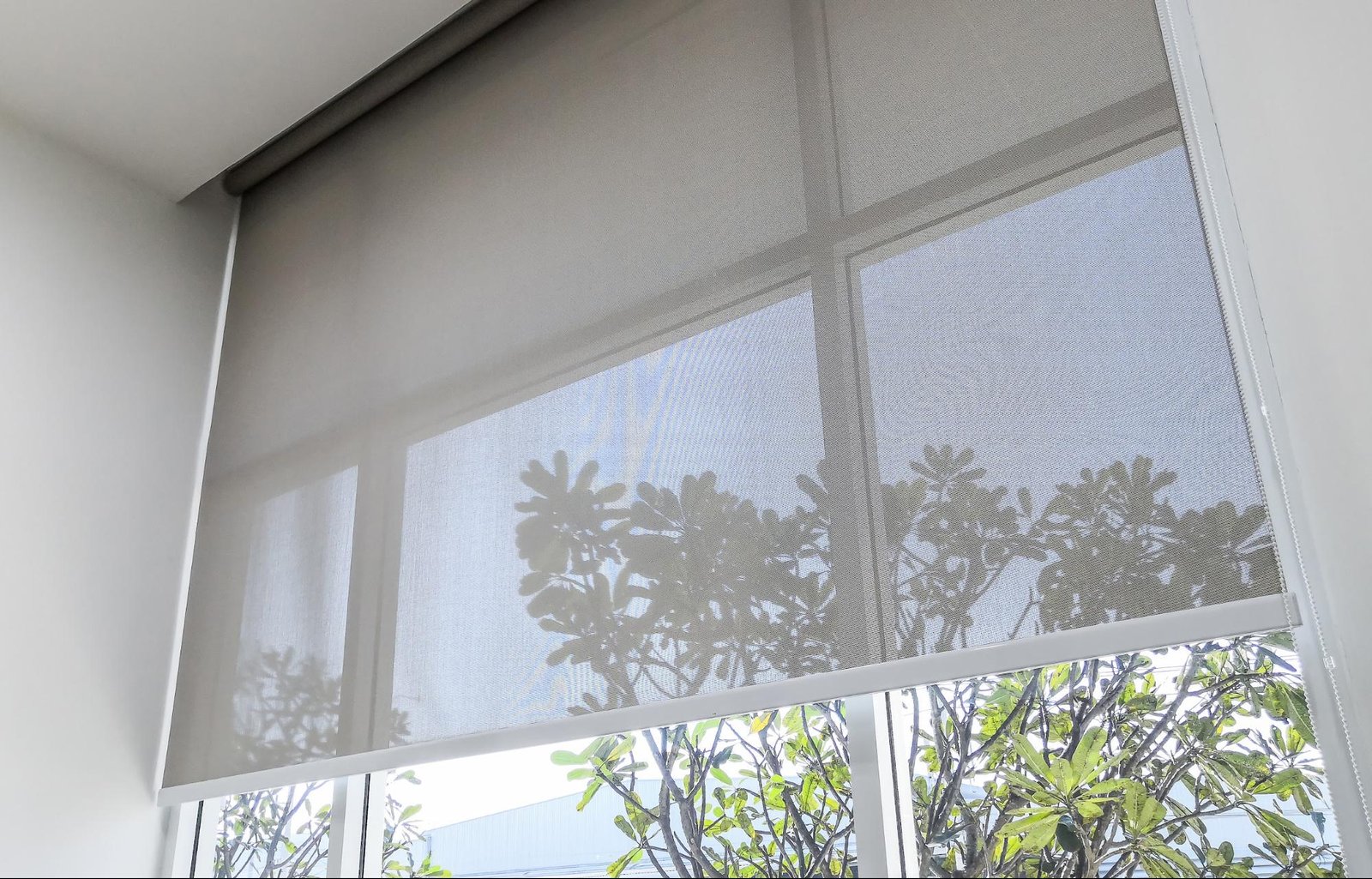 Screen Sheer Blinds