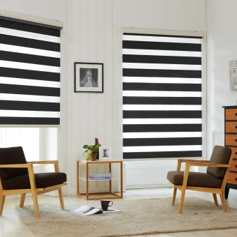 Dream Zebra Blind